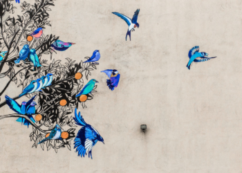 І закон, і благодать. Про харизми церковної спільноти