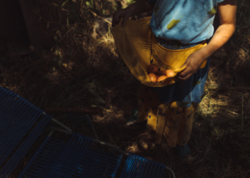 «Знак і вираз любові»: вчення Церкви про соціальне служіння