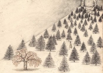 Тема номера: Свобода і відповідальність